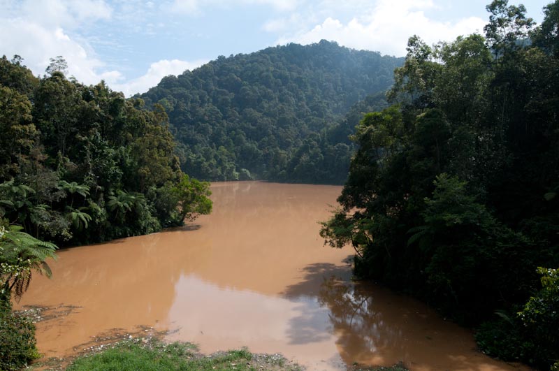 malaysia_2011_MAL_9639